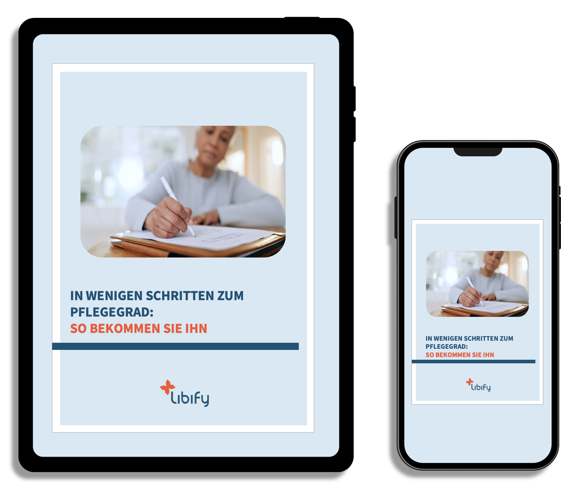 libify-anleitung-pflegegrad-vorschau